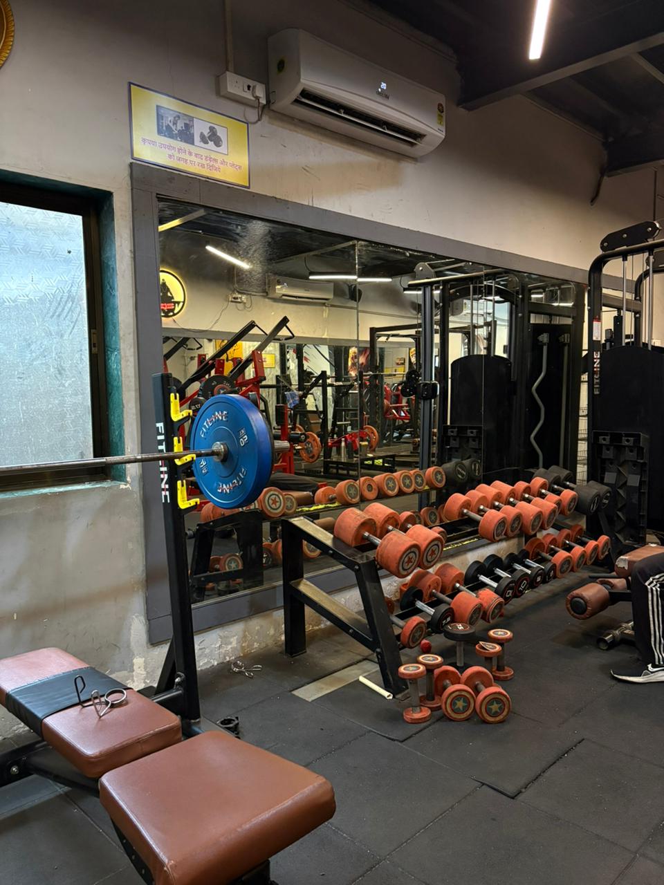 Bumper Plates & Dumbbells