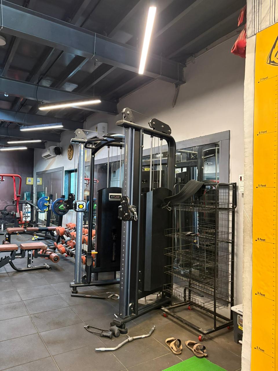 Functional Trainer